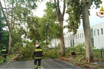 Tromba d'aria in Veneto: è stato di crisi Tromba d'aria in Veneto: è stato di crisi